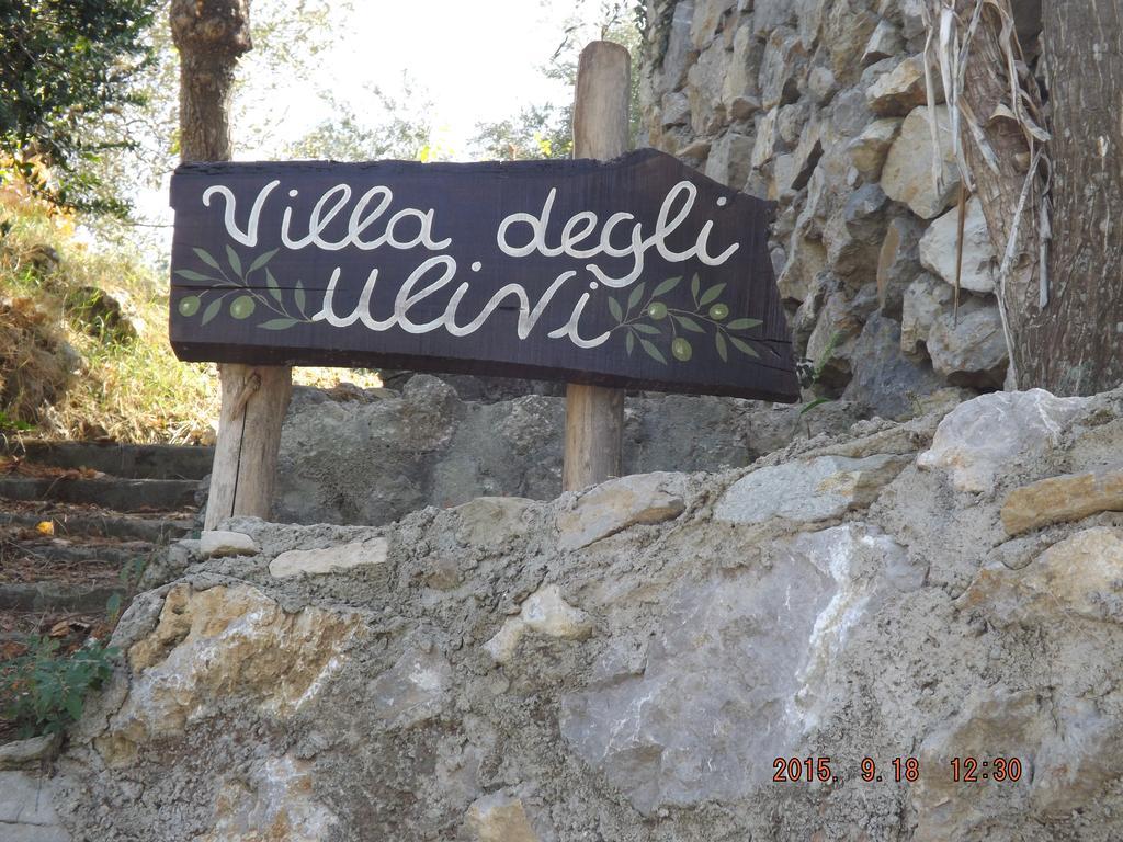Appartamento Villa Degli Ulivi Sant'Agnello Quarto foto